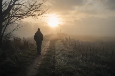 Solitary Walk Toward Golden Morning Light