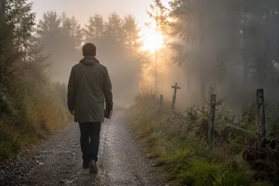 Lone Walker in Fog Toward Dawn Light