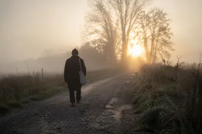 Solitary Walk Through Fog Toward Light