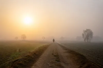 Lone Pilgrim Walking Toward Morning Light