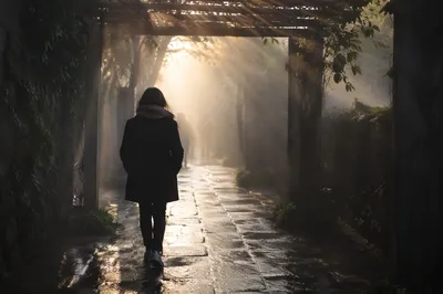 Lone Walker Entering Morning Light Through Fog