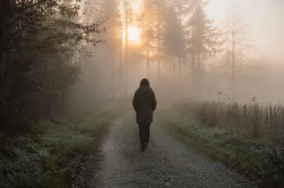 Solitary Walk Through Fog Toward Light