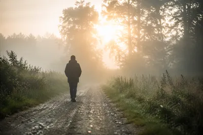 Walking Through Morning Fog Toward Light