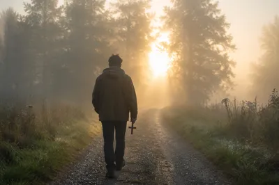 Walking Through Fog Toward Golden Light