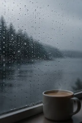Cozy Rainy Window With Steaming Mug