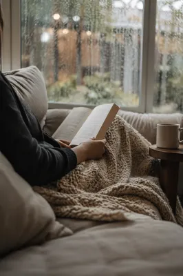 Cozy Rainy Afternoon Reading on Sofa
