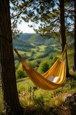 Summer Hammock Under Pine Tree Shade