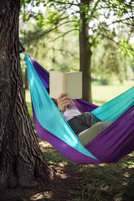 Relaxing in Hammock Under Summer Trees