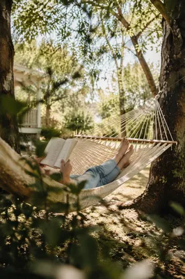 Relaxing Summer Hammock Reading Under Trees