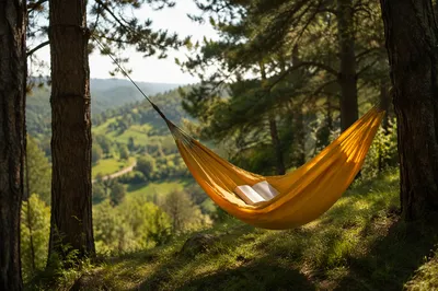 Summer Hammock Reading in Pine Tree Shade
