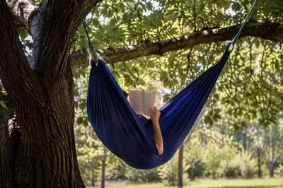 Peaceful Summer Hammock Reading Under Trees