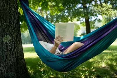 Summer Hammock Reading Under Shade Trees
