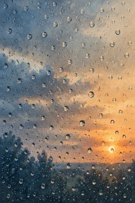 Peaceful Sunrise Raindrops After the Storm