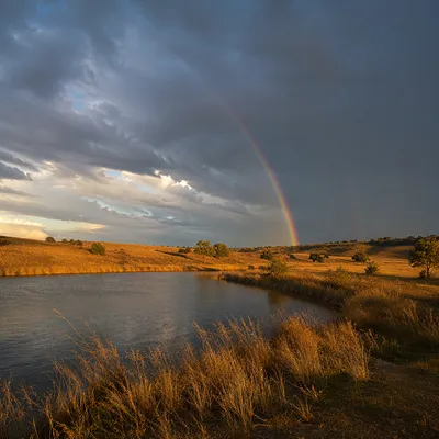 Peaceful Sunrise Rainbow Over Stormy Wetland