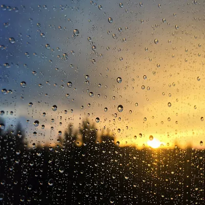 Peaceful Sunrise Raindrops After the Storm