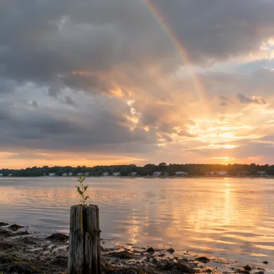 Peaceful Sunrise After Storm Over Tidal Bay