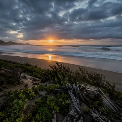 Peaceful Sunrise Over Storm Cleared Shore