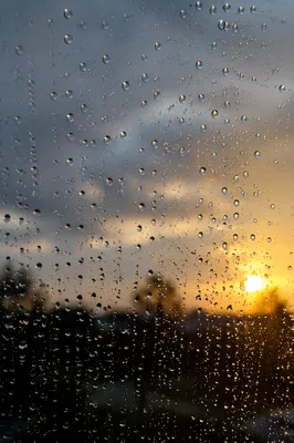 Peaceful Sunrise Through Rain Droplets