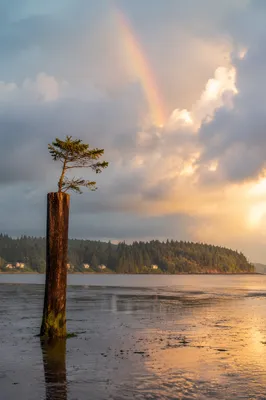Peaceful Sunrise Over Stormy Coastal Bay