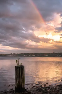 Sunrise Renewal Over Calm Bay