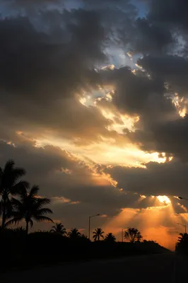 Peaceful Sunrise After Storm Over Palms