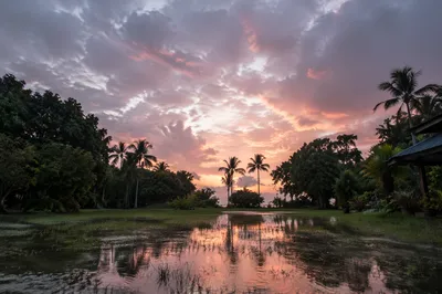 Peaceful Sunrise Over Flooded Tropical Garden