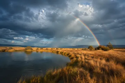 Peaceful Wetland Sunrise After the Storm