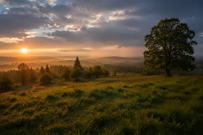 Peaceful Countryside Sunrise After Storm