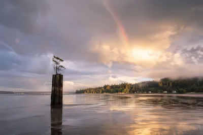 Peaceful Sunrise Over Stormy Coastal Bay