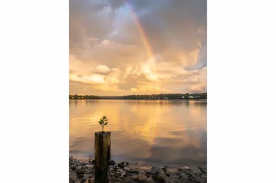 Sunrise After Storm Over Peaceful Bay