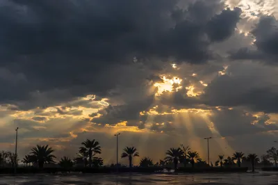 Peaceful Sunrise After Storm in Roadside Park