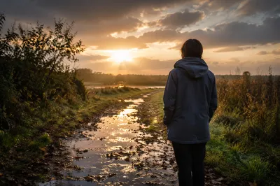 Peaceful Sunrise After Storm on Rural Path