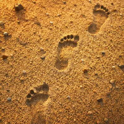 Sunset Beach Footprints in Golden Sand