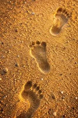 Barefoot Footprints in Golden Sunset Sand
