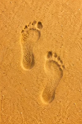 Barefoot Footprints in Golden Sunset Sand