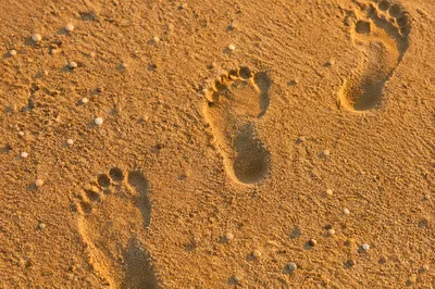 Barefoot Footprints in Golden Sunset Sand