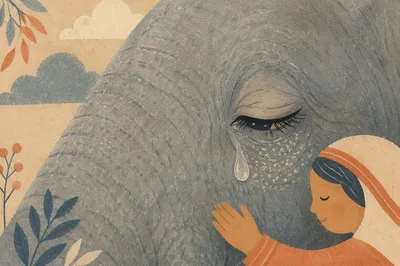 Elephant Tear Close-Up of Gentle Comfort