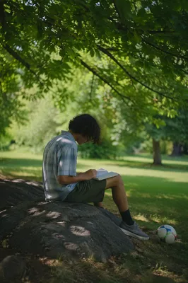 Teen Reading Bible Beneath Shaded Park Tree