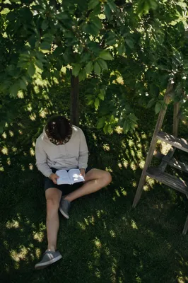 Teen Reading Bible Beneath Garden Tree