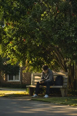Teenager Reading Bible Beneath Flowering Tree