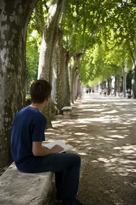 Teen Reading Bible Beneath Shaded Plane Trees