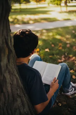Teen Reading Bible Under Tree Shade