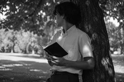 Teenager Reading Bible Beneath Tree Shade