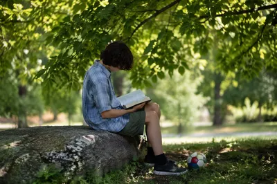 Teenager Reading Bible in Shaded Park