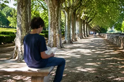 Teen Reading Bible Beneath Shaded Trees