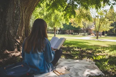 Teen Reading Bible Beneath Tree Shade