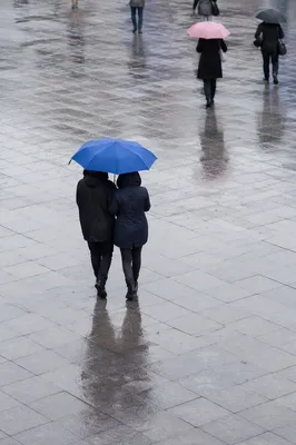 Kindness Under a Blue Umbrella in Rain