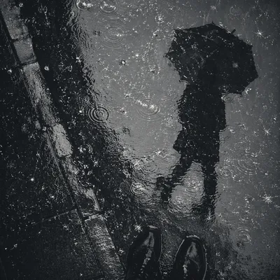 Umbrella Reflection in Rainy Night Puddle