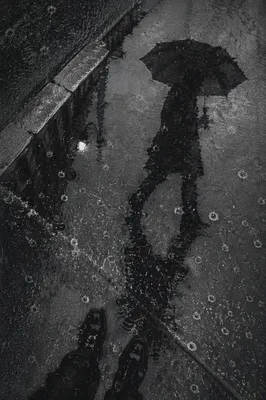 Umbrella Reflection in Rainy Night Puddle