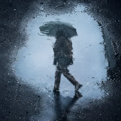 Umbrella Reflection in Rainy Street Puddle